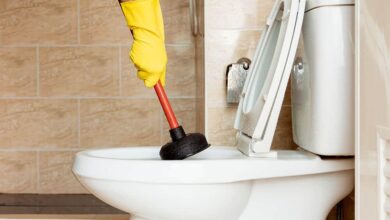 Clearing Toilet/Bathroom Choke for Better Flow and Hygiene